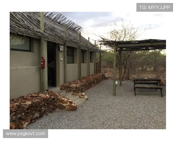 球迷村住宿条件全解析：从设施到服务，打造舒适观赛体验 - 副本 (2) - 副本 - 副本